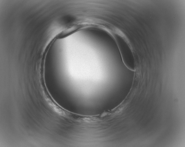 X0000082171138200702021720