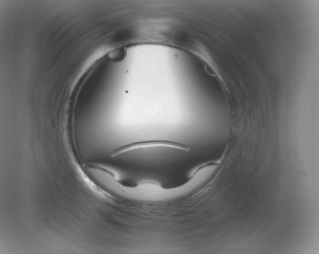 X0000082171139200702021720