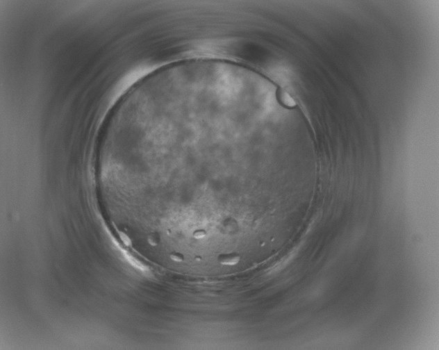 X0000082171141200702021720