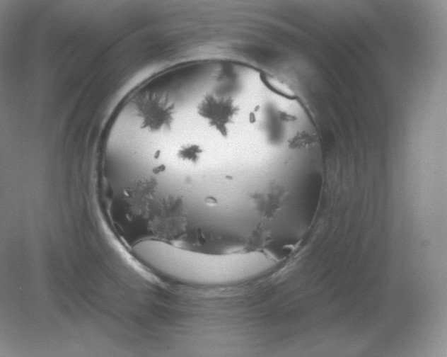 X0000082171142200702021720