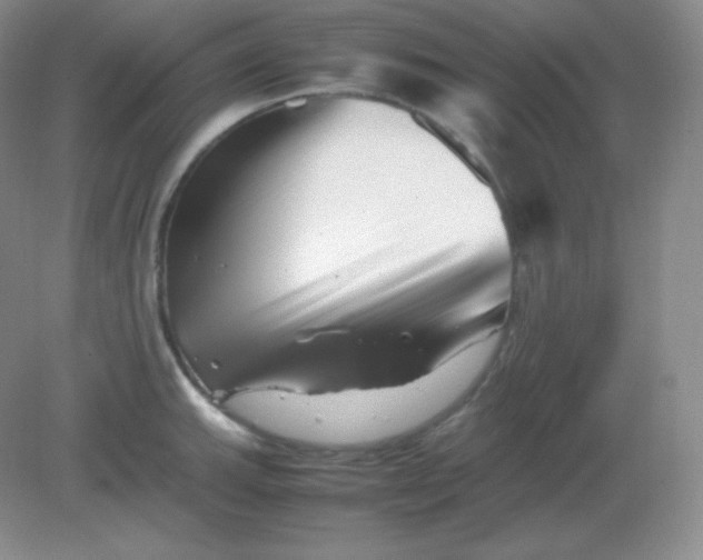 X0000082171143200702021720