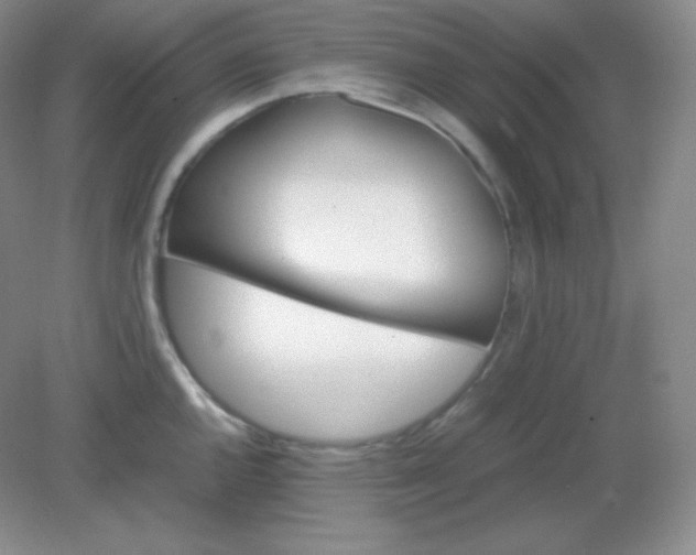 X0000082171144200702021720