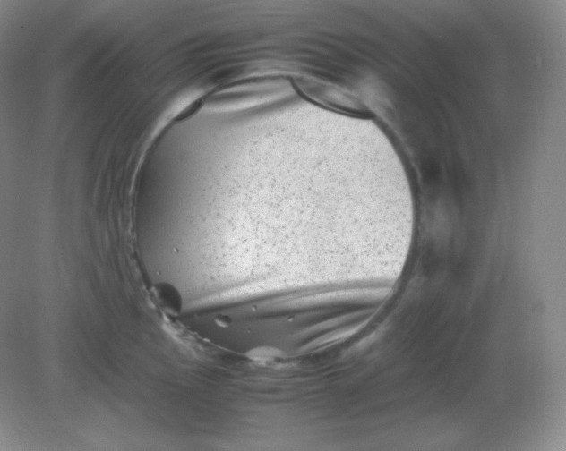 X0000082171145200702021720