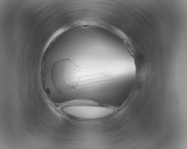 X0000082171146200702021720