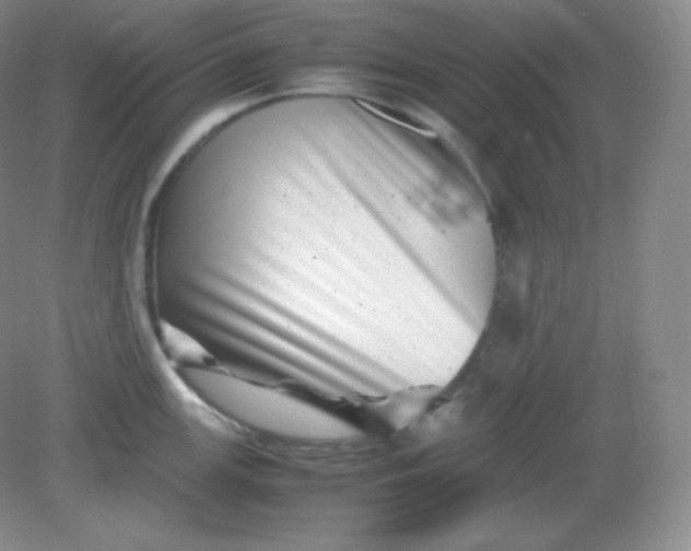 X0000082171147200702021720