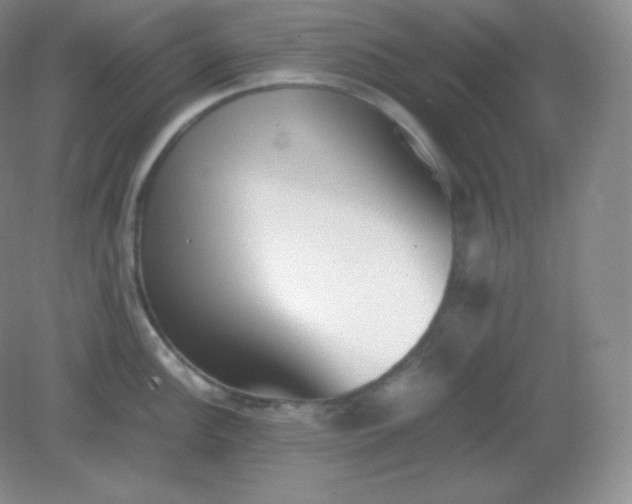 X0000082171148200702021720