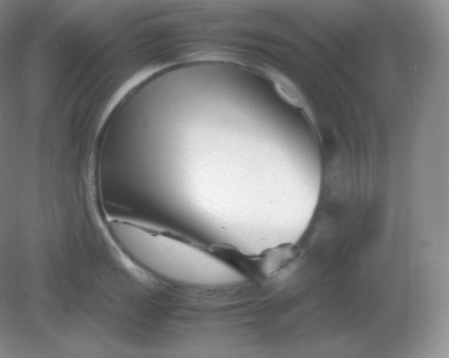 X0000082171149200702021720