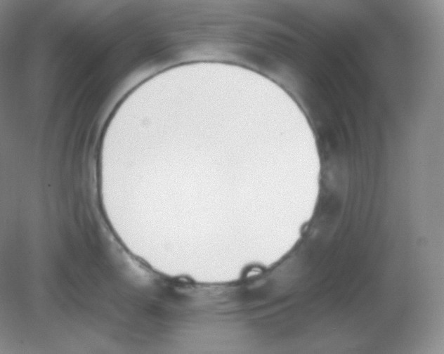 X0000082171150200702021720