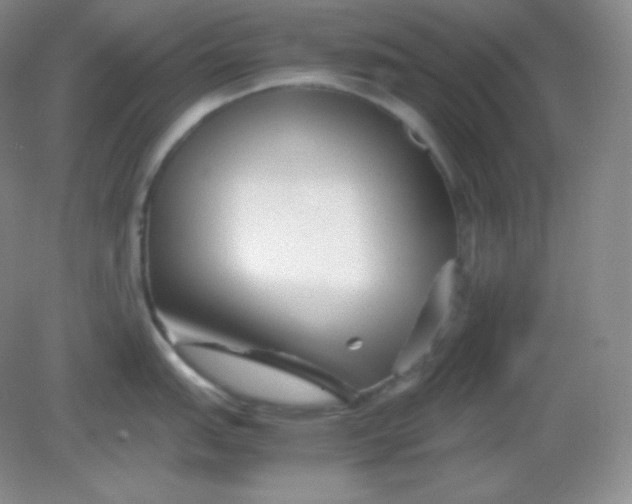 X0000082171151200702021720