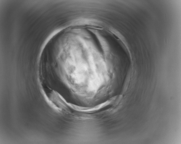 X0000082171152200702021720