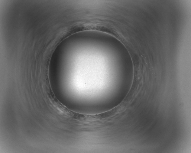 X0000082171153200702021719