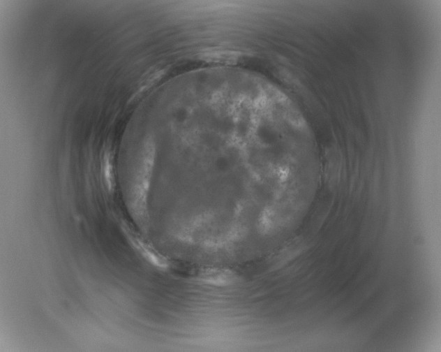 X0000082171154200702021719