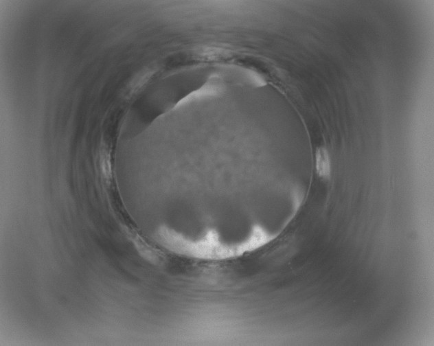 X0000082171155200702021719