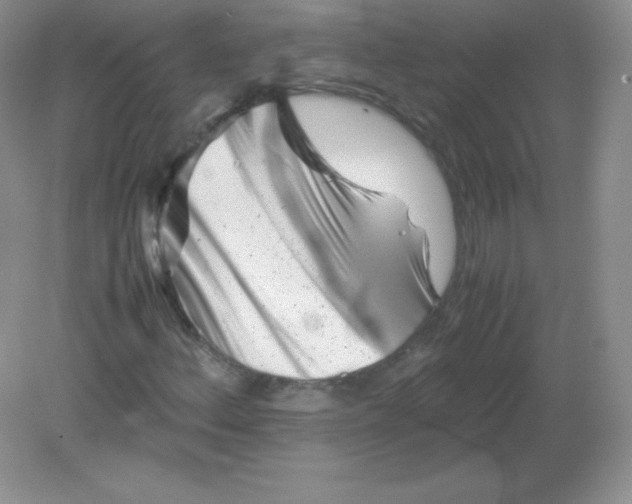 X0000082171156200702021719