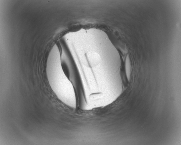 X0000082171157200702021719