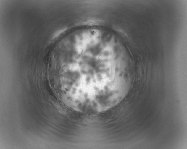 X0000082171158200702021719