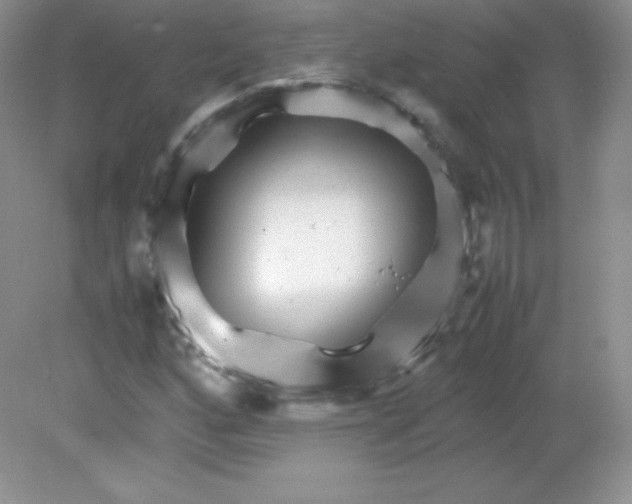 X0000082171160200702021719