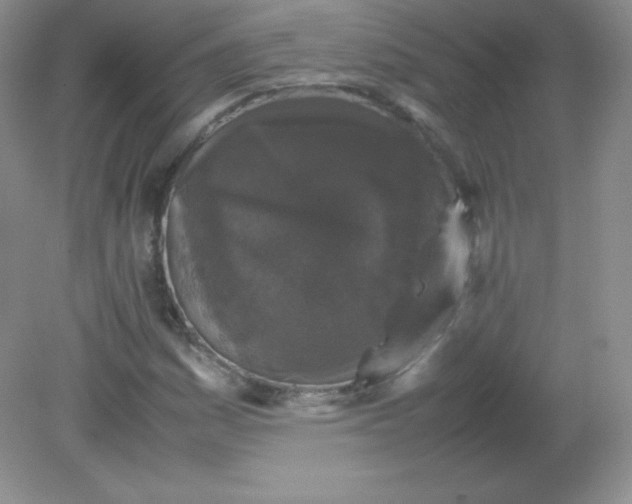 X0000082171161200702021719