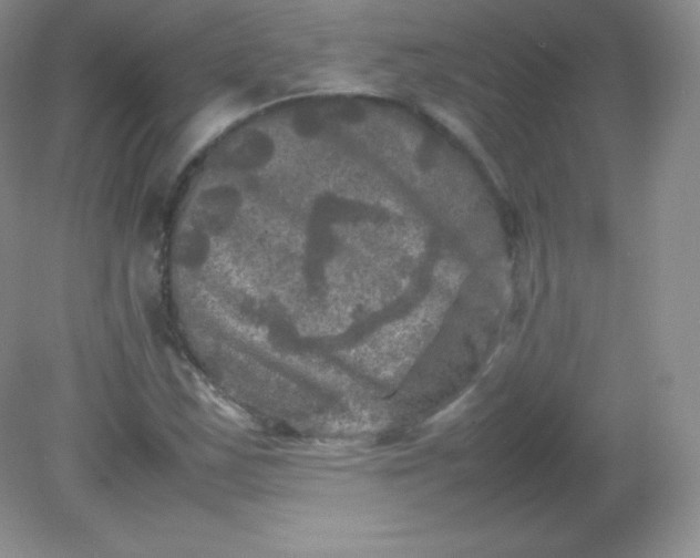 X0000082171163200702021719