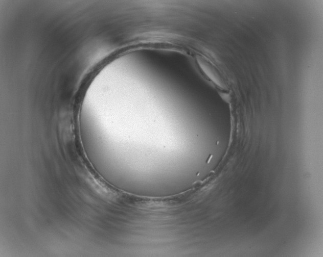 X0000082171164200702021719