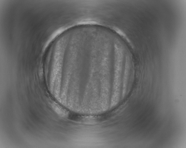 X0000082171167200702021719