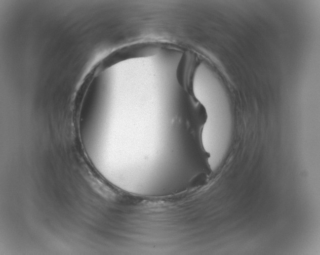 X0000082171168200702021719