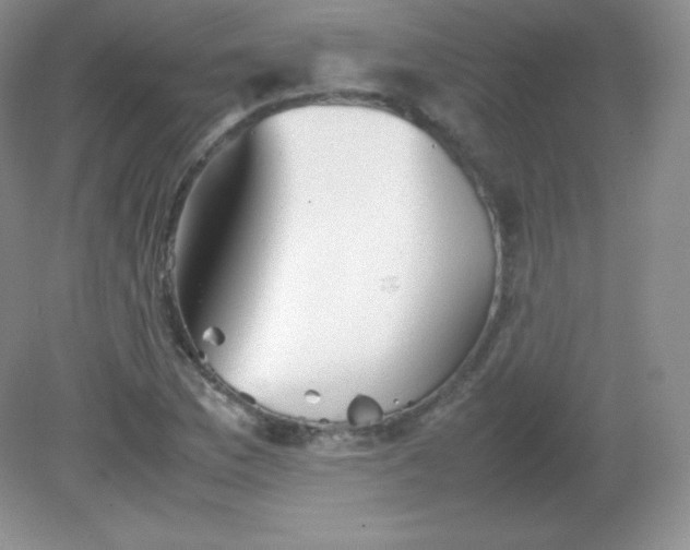 X0000082171169200702021719