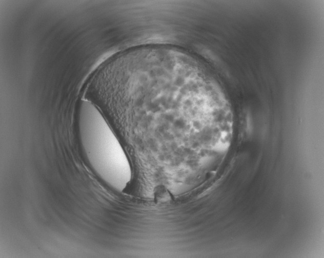 X0000082171170200702021719