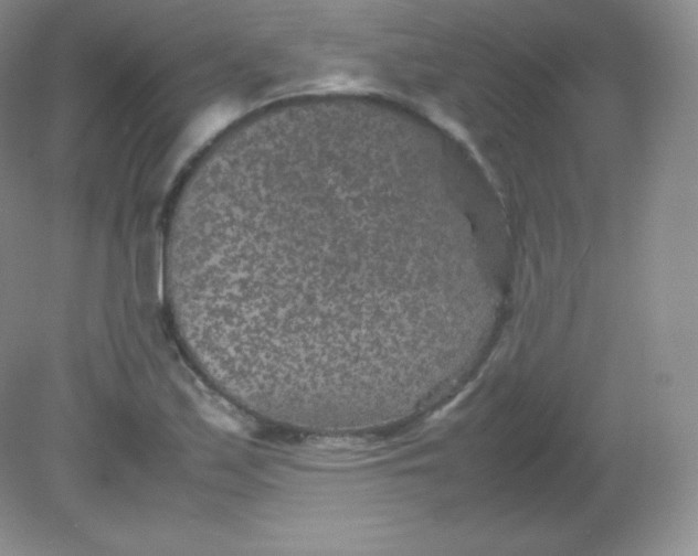 X0000082171171200702021719