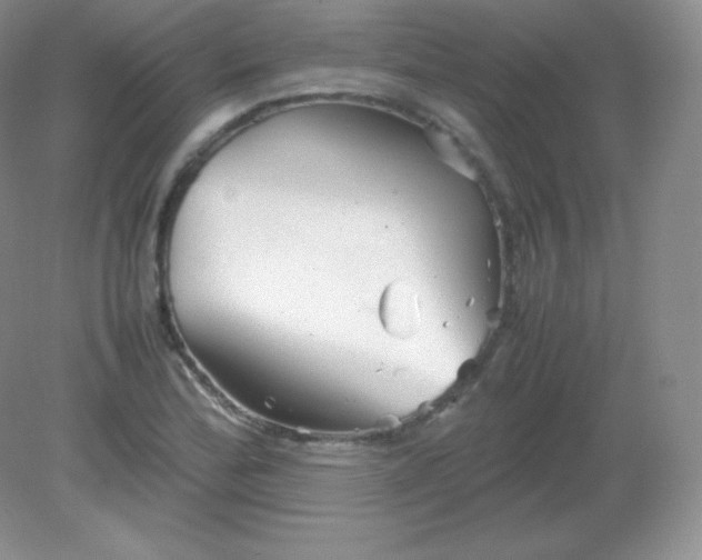 X0000082171172200702021719