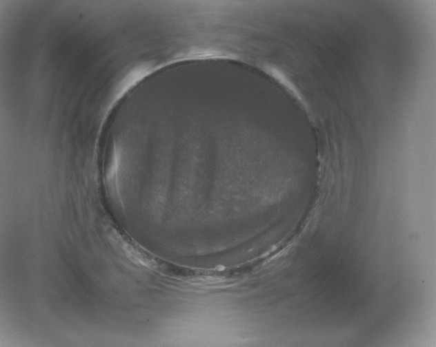 X0000082171173200702021719