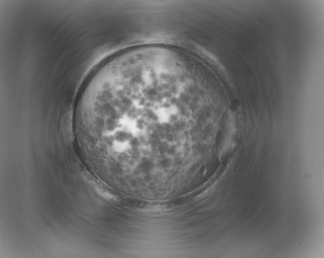 X0000082171174200702021719