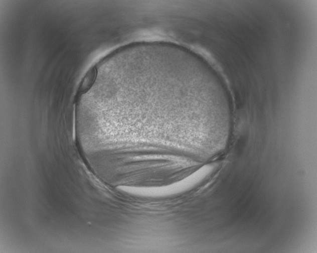 X0000082171175200702021719