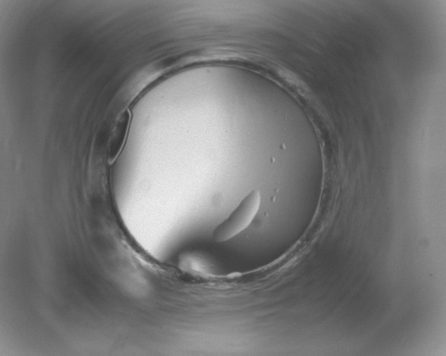 X0000082171177200702021719