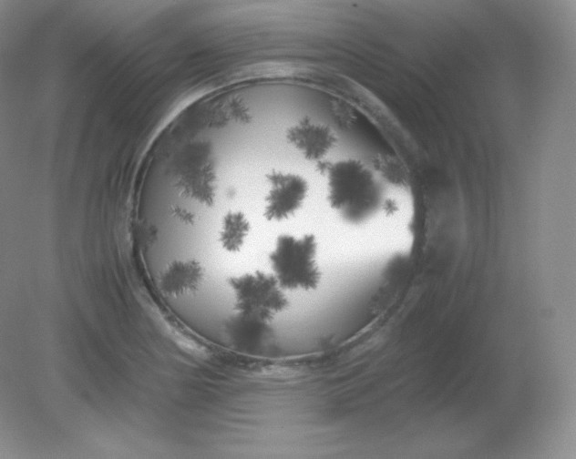 X0000082171178200702021719