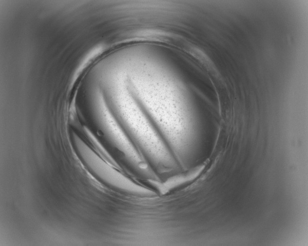 X0000082171180200702021719