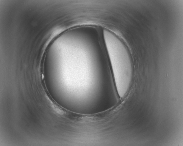 X0000082171181200702021719