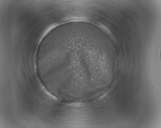 X0000082171182200702021719