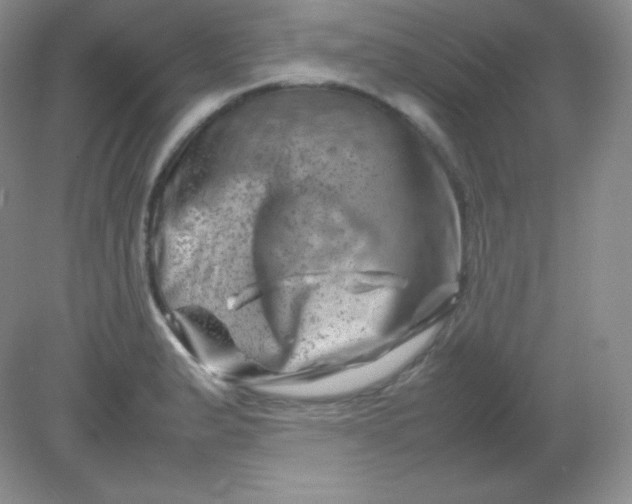 X0000082171183200702021719