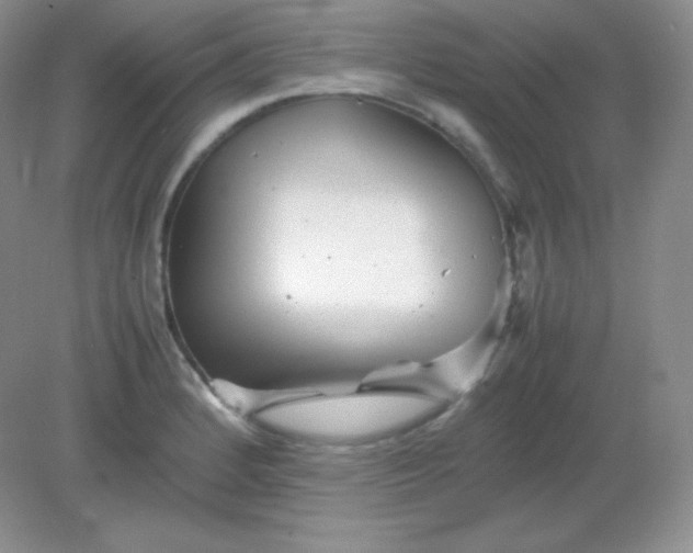 X0000082171184200702021719