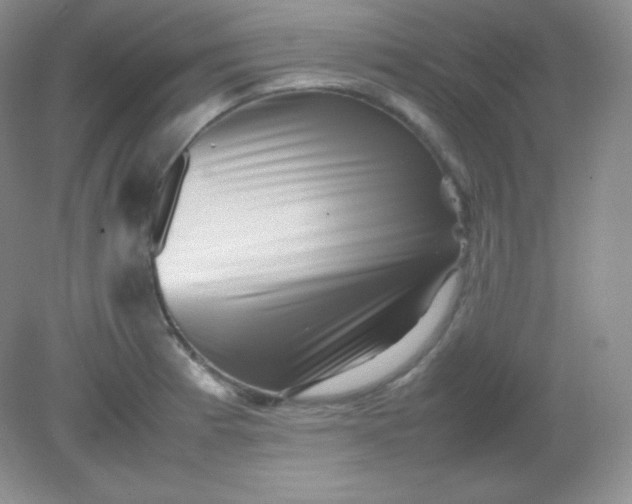 X0000082171185200702021719