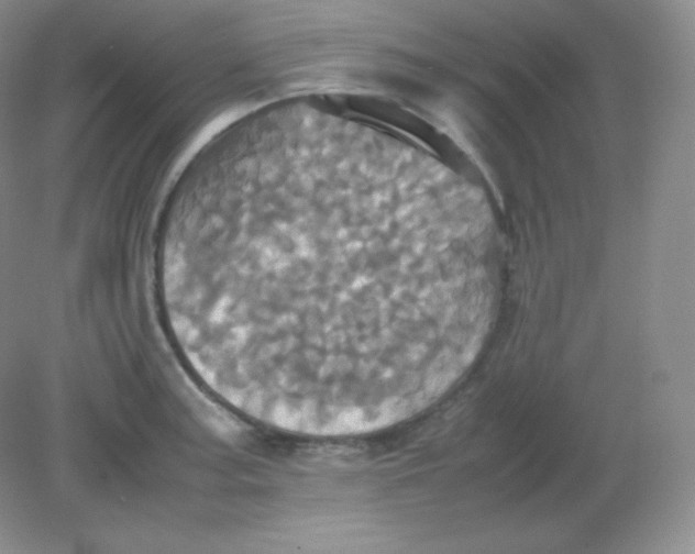 X0000082171187200702021719