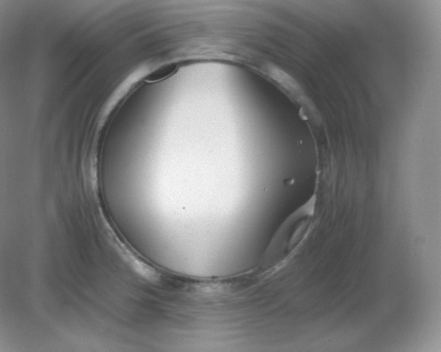 X0000082171188200702021719