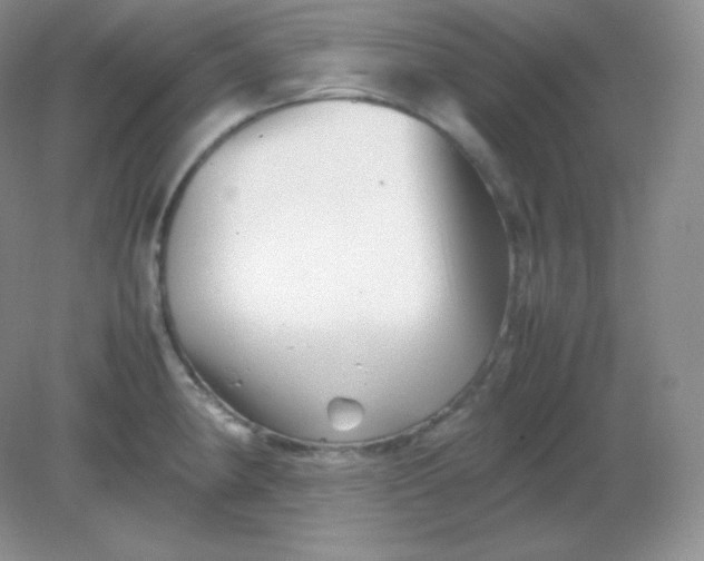 X0000082171190200702021719