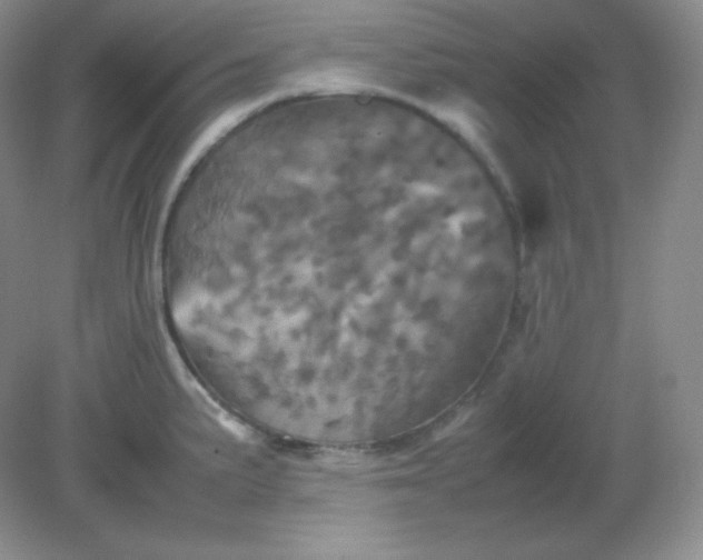 X0000082171191200702021719