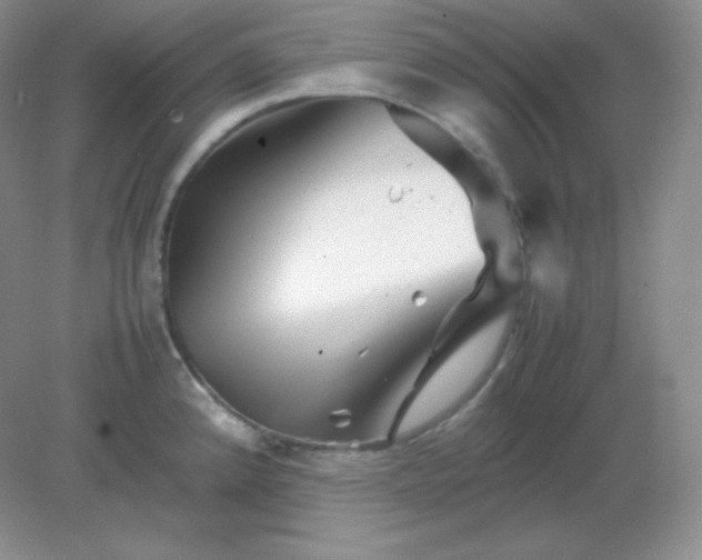 X0000082171192200702021718