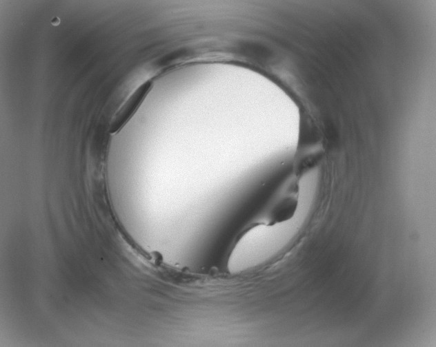 X0000082171193200702021718