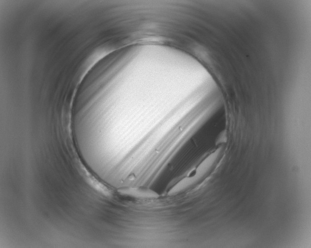 X0000082171194200702021718