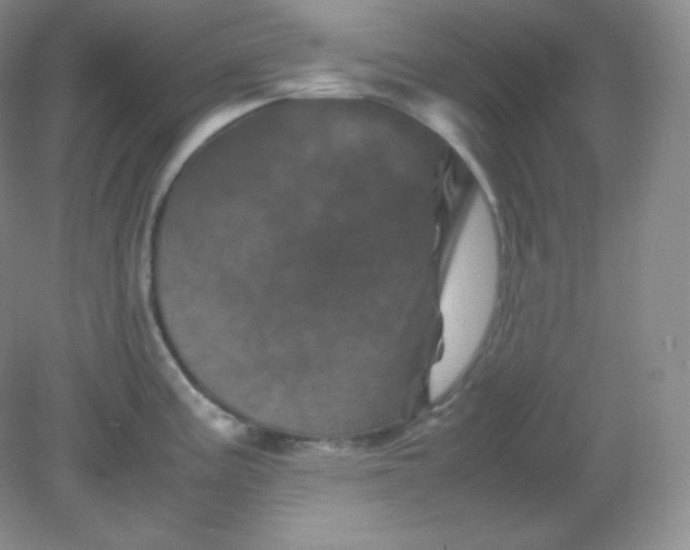 X0000082171195200702021718