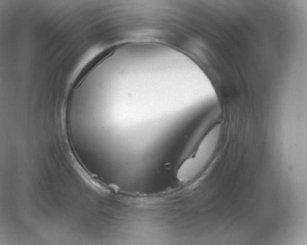 X0000082171196200702021718